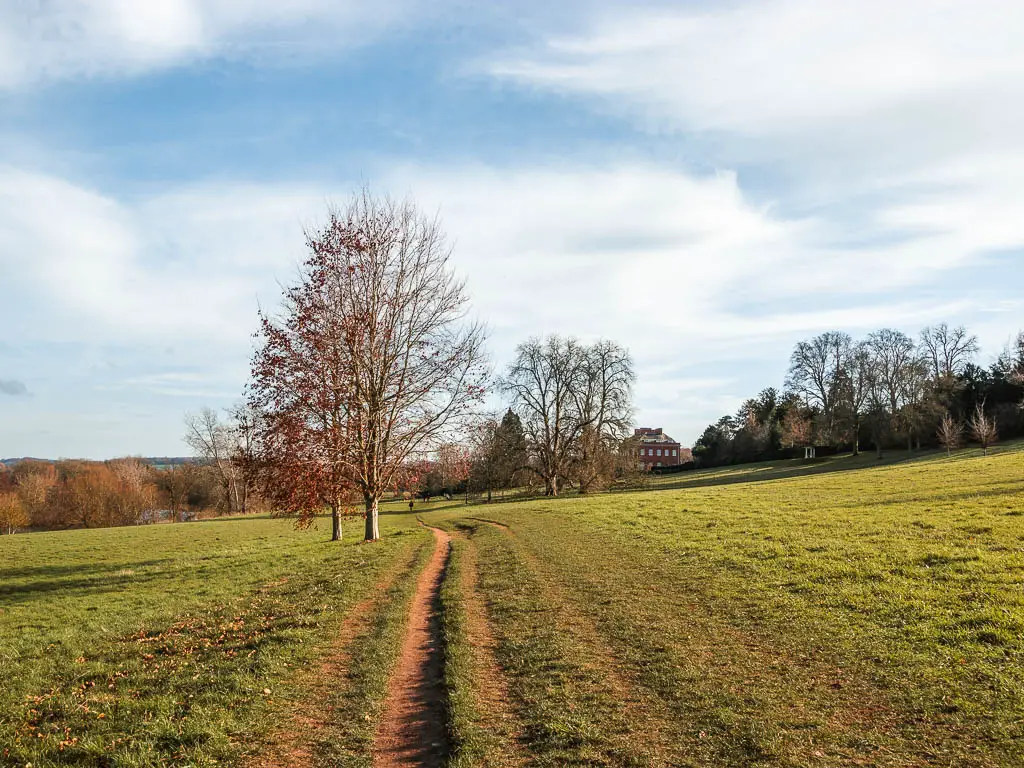 Dirt trail tracks running through the hillside grass field.