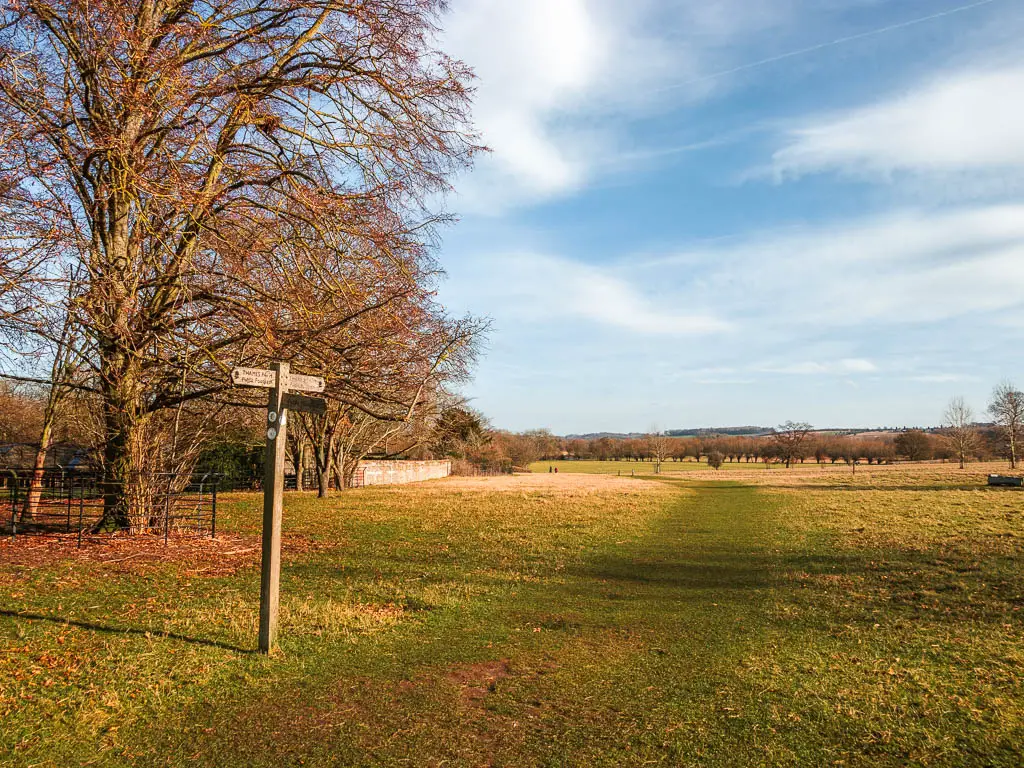 A wooden signpost next to a grass trail.