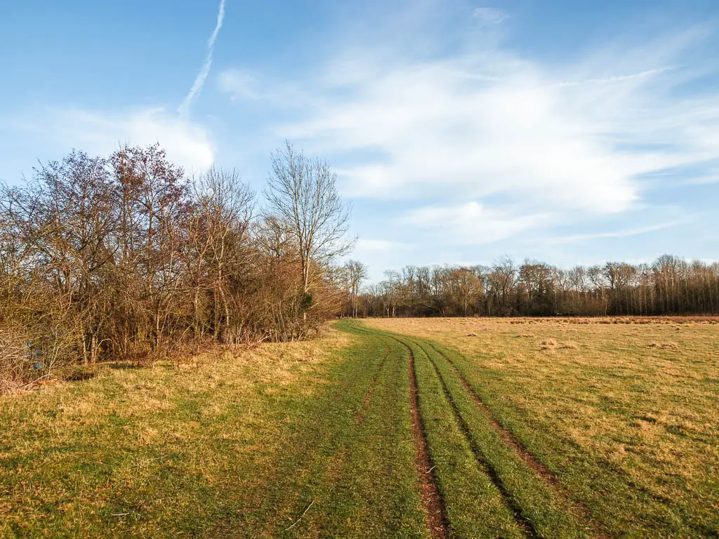 Thin dirt track running through the grass field. 