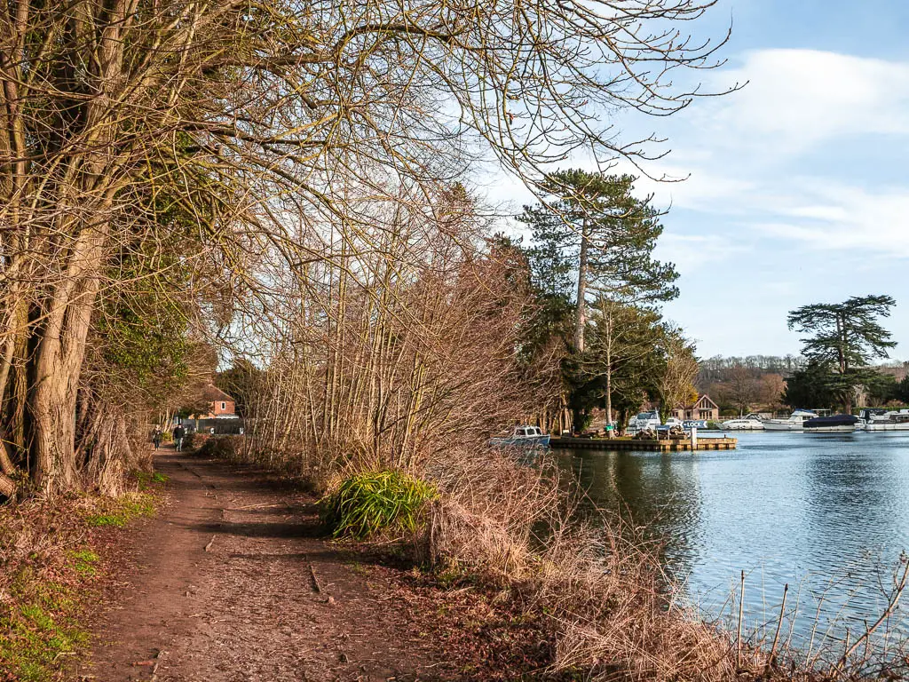 A dirt path lined with trees to the left and the river to the right, near the end of the walk from Henley to Marlow. 