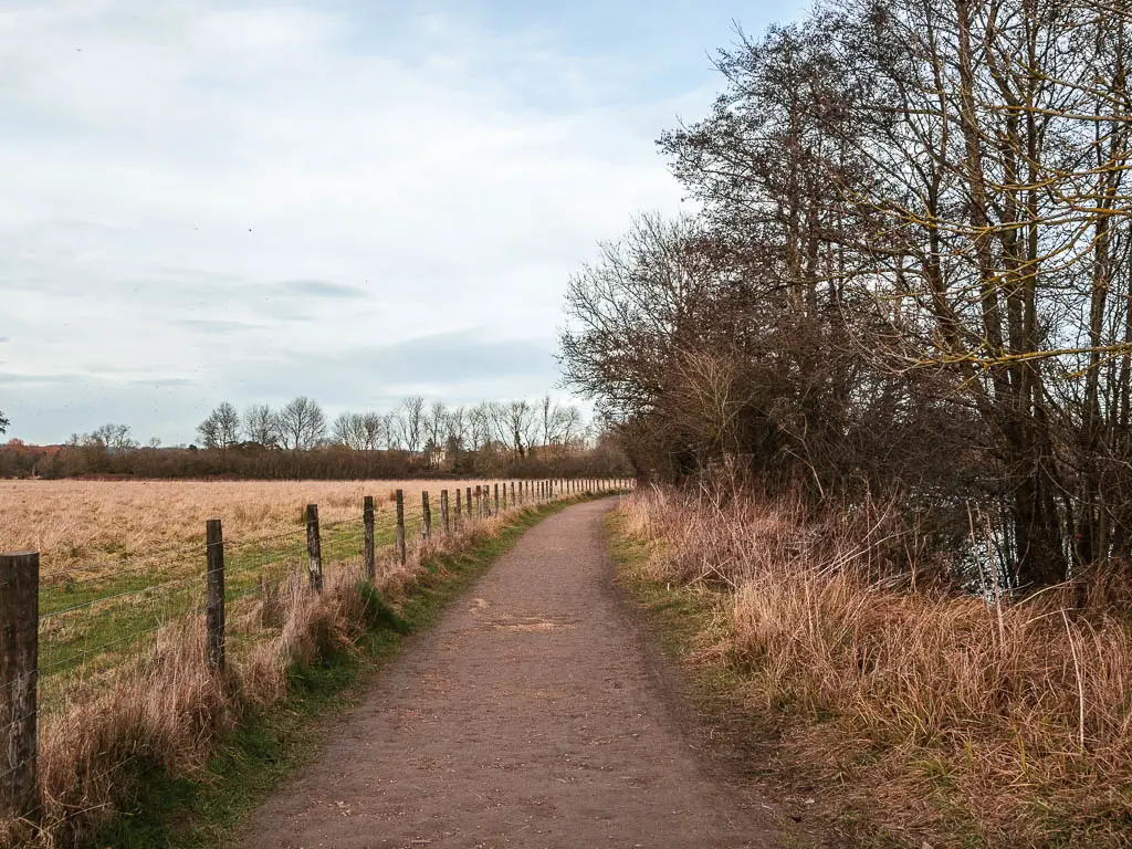 A dirt trail straight and curving to the right ahead around the trees.  There is a wooden and barbed wire fence to the left of the path and a field on the other side. 