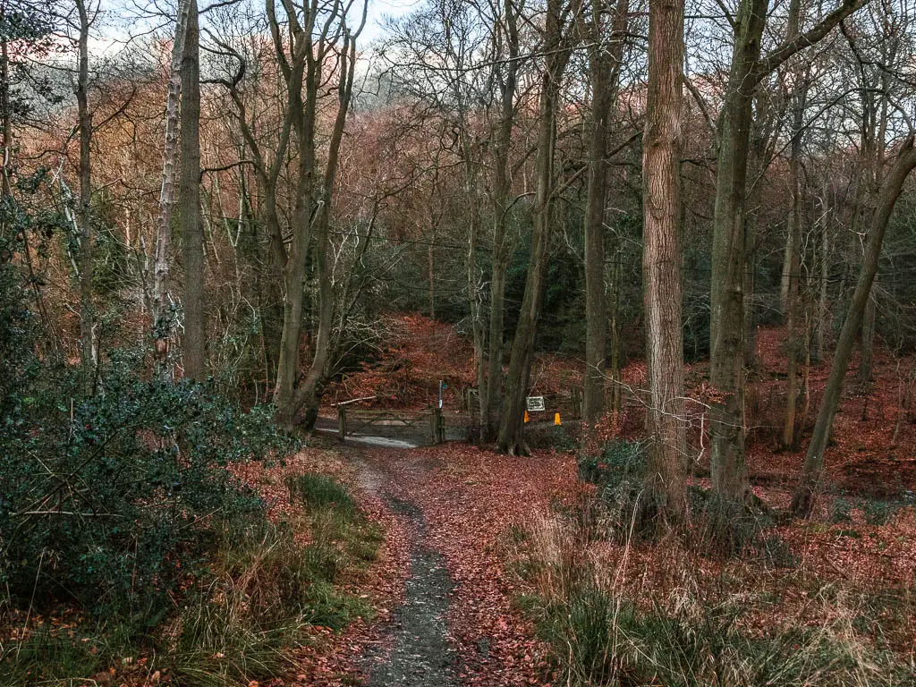 The narrow trail leading downhill though the woods towards a wooden gate and road.