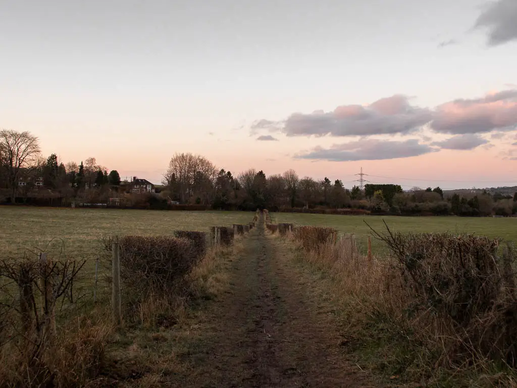 A grass trail lines with a barbed wire fence and bushes and fields on either side on the final stretch of the walk back into Wendover. 