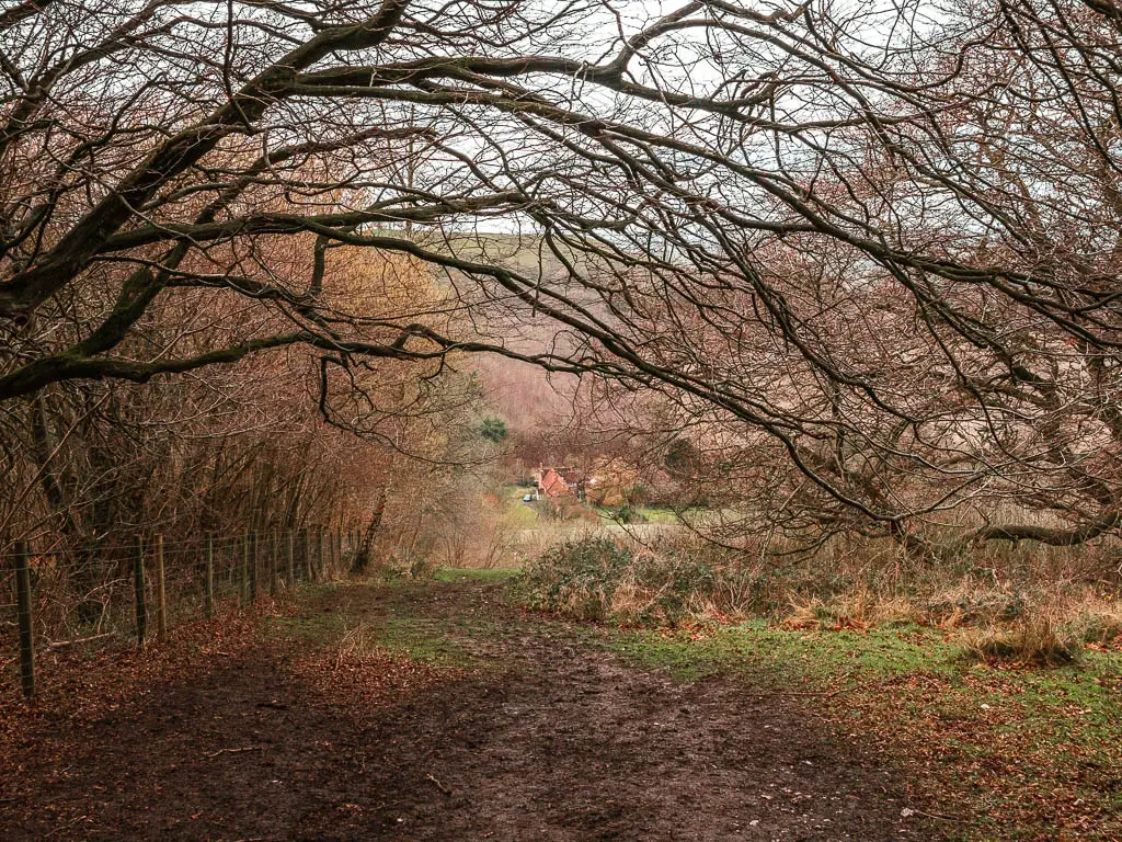 Looking downhill through the overhanging trees to a small house at the bottom on the walk from Coombe Hill to Beacon Hill.