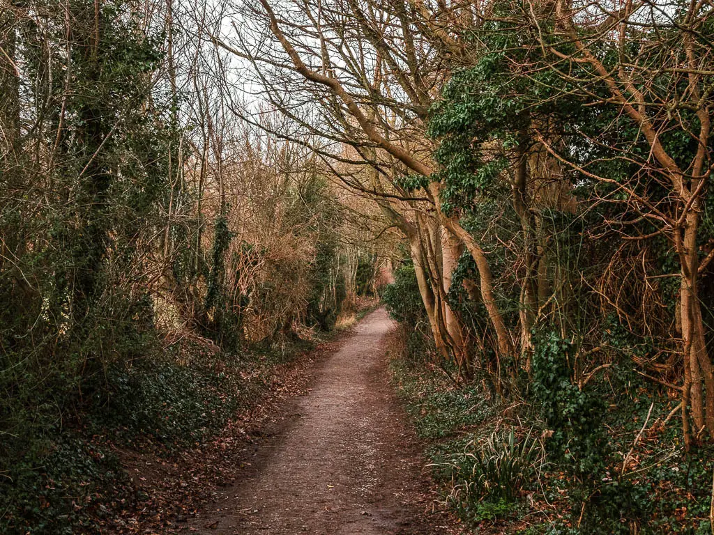 A path lined with trees and bushes on the circular walk from Wendover.