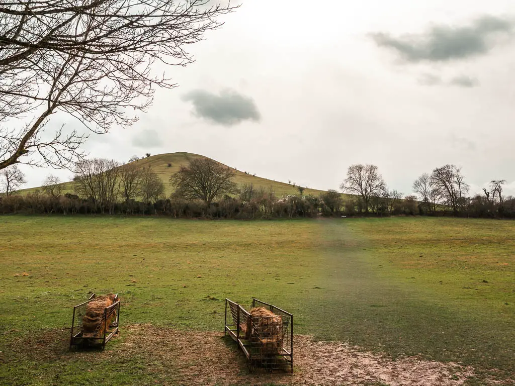 Looking across the green grass field towards Beacon Hill on the circular walk from Wendover. The grass is short and neat, and there are two animal feeding troughs in the field. 