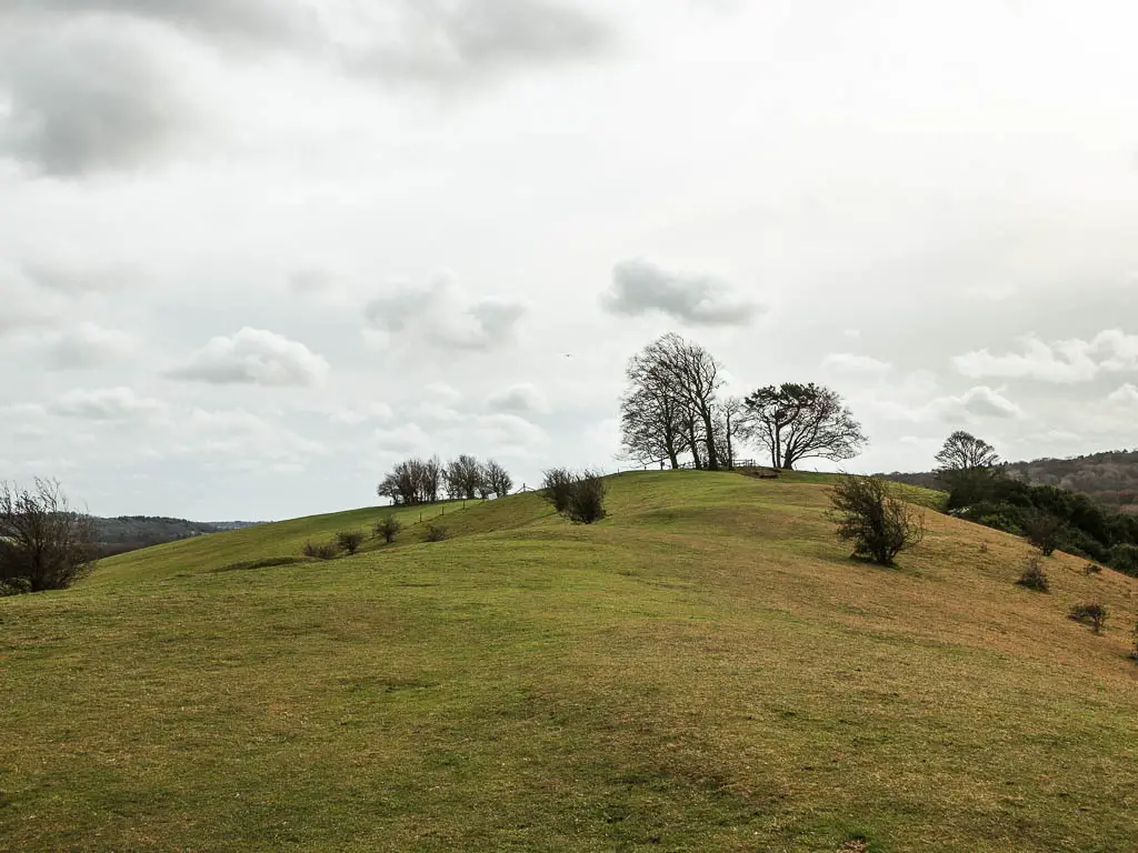 Looking across the hilltop with a few sparse trees.