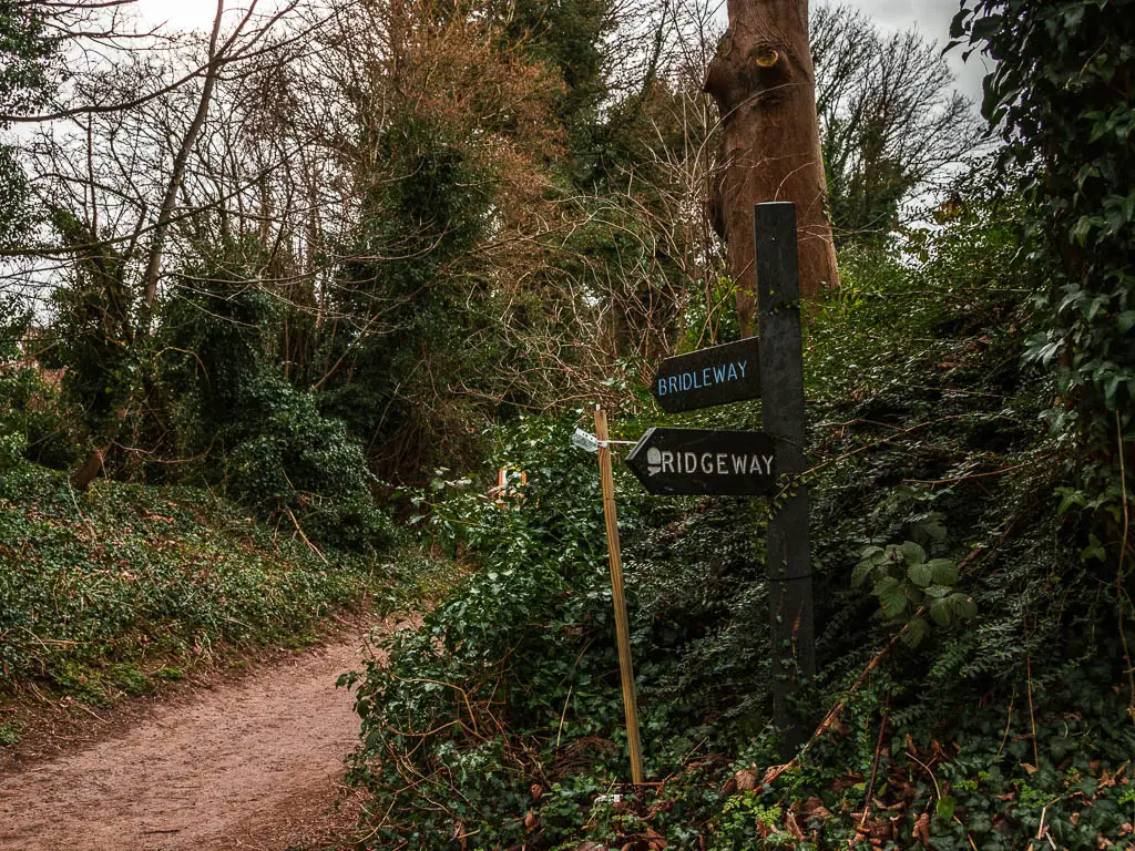 A black wooden signpost saying 'Ridgeway' on the walk towards Coombe Hill and Beacon Hill from Wendover. The signpost is nestled in the bushes next to a trail.