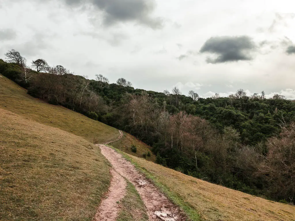 A narrow dirt trail running along the side of Beacon Hill towards the dense woodland on the walk towards Whiteleaf Hill.