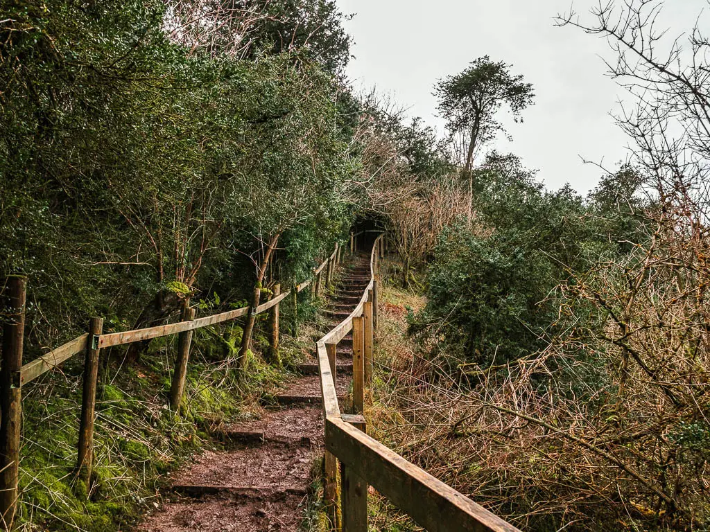 Wooden stairway leading up the side of the hill through the trees on the walk towards Whiteleaf from Wendover.