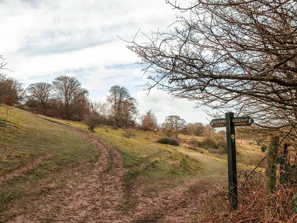 The hillside with a dirt trail running across it on the walk towards Whiteleaf Hill from Wendover, coombe hill and Beacon Hill. There is a black wooden trail signpost saying 'Ridgeway'.