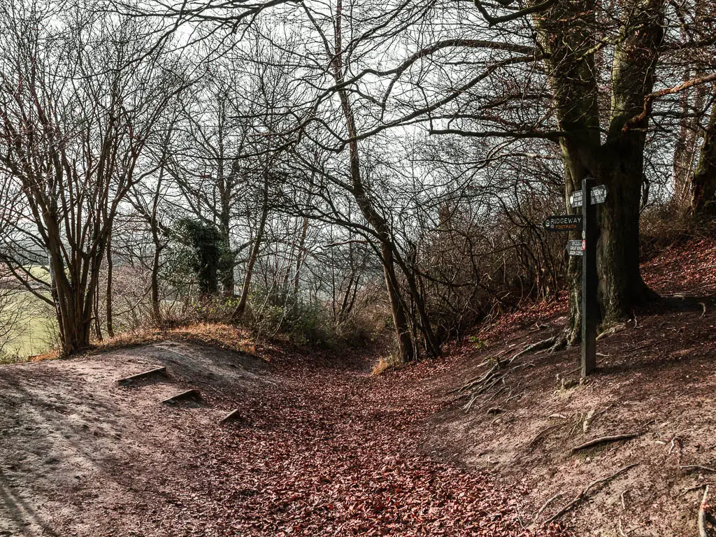 A ditch with steps un the bank on the left, a a wooden signpost on the bank on the right.