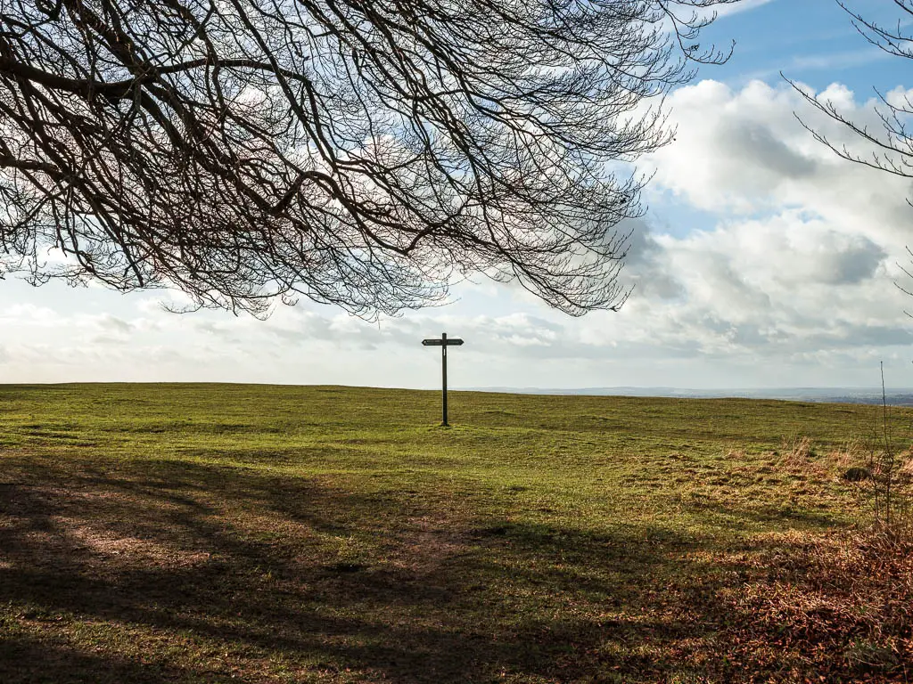 The large green grass hill top of Whitleaf Hill on the circular walk from Wendover and Coombe hill and Beacon hill. There is a wooden trail signpost on the hill, and some overhanging tree branches at the top of the frame. 