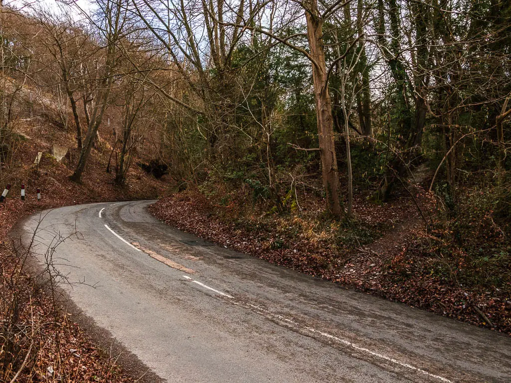 A road as it curves around the the right, with a back leading up to woodland on the other side. 