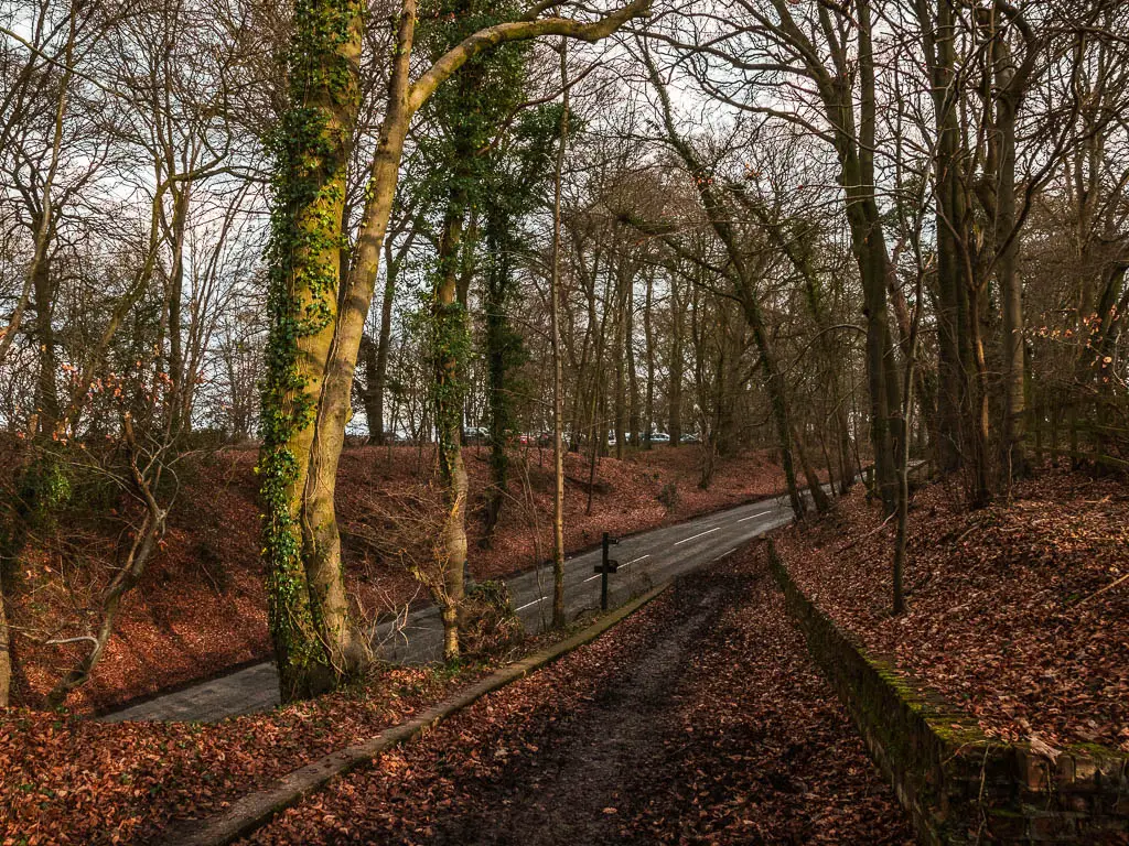 A dirt trail leading down to the road, with a bank on the other side of the road. 