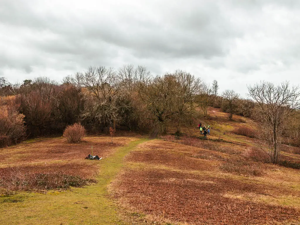 A green grass trail along the top of the hill with leafless trees ahead. There are a few people standing ahead on the hill.