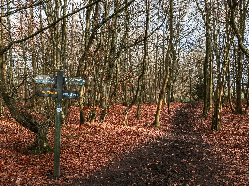 A dirt path leading through the woodland, for the walk back from Whiteleaf Hill to Wendover. There are orange and red fallen leaves on the ground. There is a black wooden trail signpost on the left side of the trail.