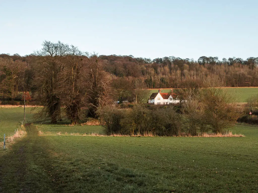 A green field with a trail on the left and a white house ahead to the right on the walk back to Wendover from Coombe Hill, Beacon Hill and Whiteleaf Hill. The houses is surrounded by trees, with woodland on thew other side of it. 