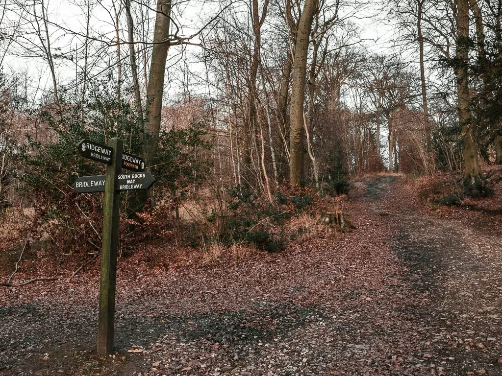 A trail leading steeply uphill through the woods, with a black trail signpost on the left. 