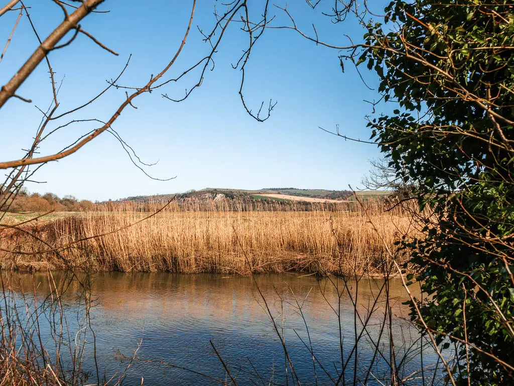 Looking through an opening in the trees to the river Arun and the hills in the distance on the other side on the walk from Amberley to Arundel. 