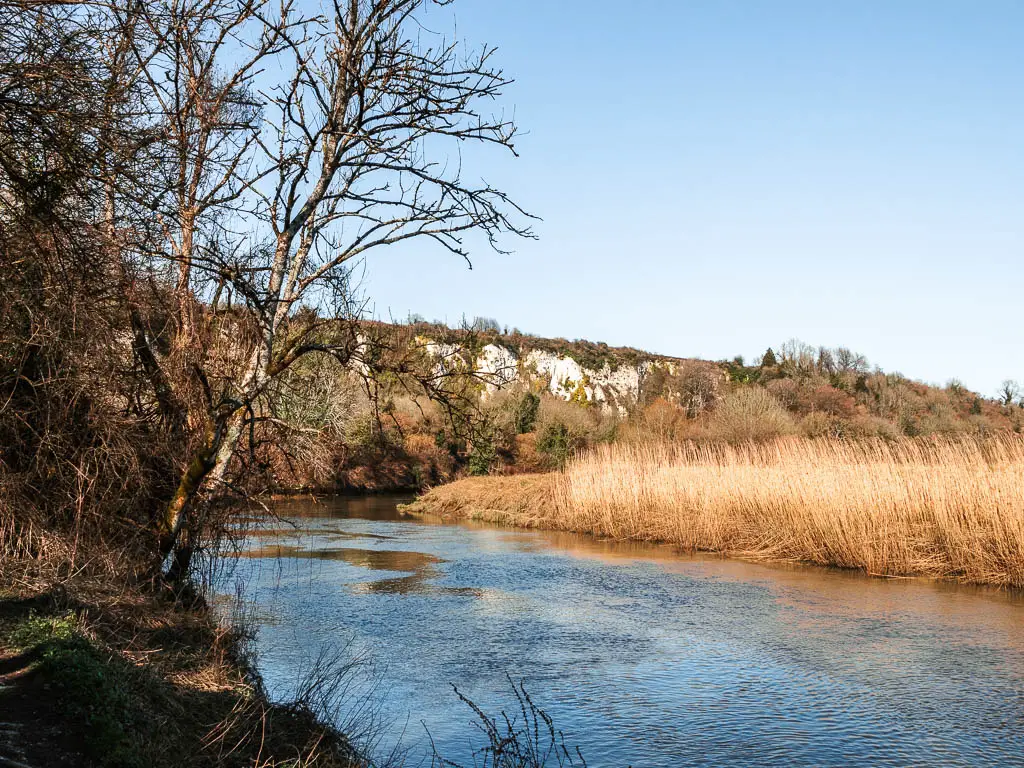 Looking down the River Arun to the white chalk cliffs on the walk from Amberley to Arundel. 