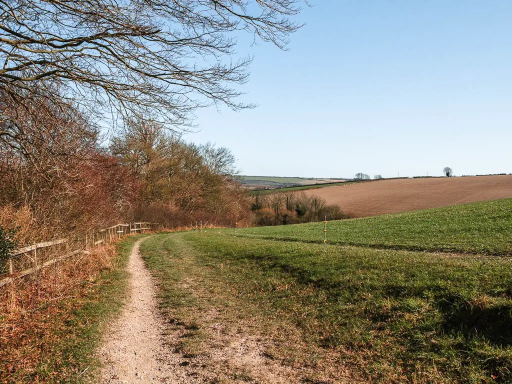 A trail leading down the side of a hill, with trees on the left and hills in the distance on the right.