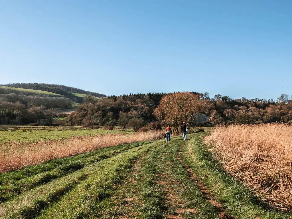 A wide grassy trail with two people walking on it, and hills and trees ahead on the walk to Arundel from Amberley. 