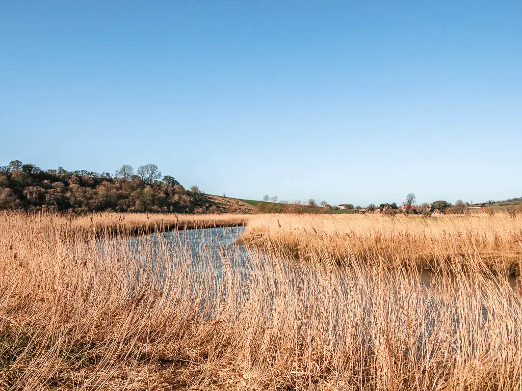 Looking across the hay to the River Arun on the Amberley to Arundel walk.