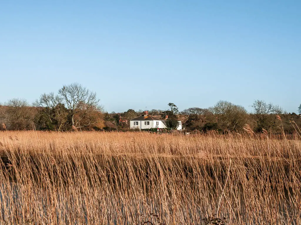 A white coloured houses in the distance across the hay.