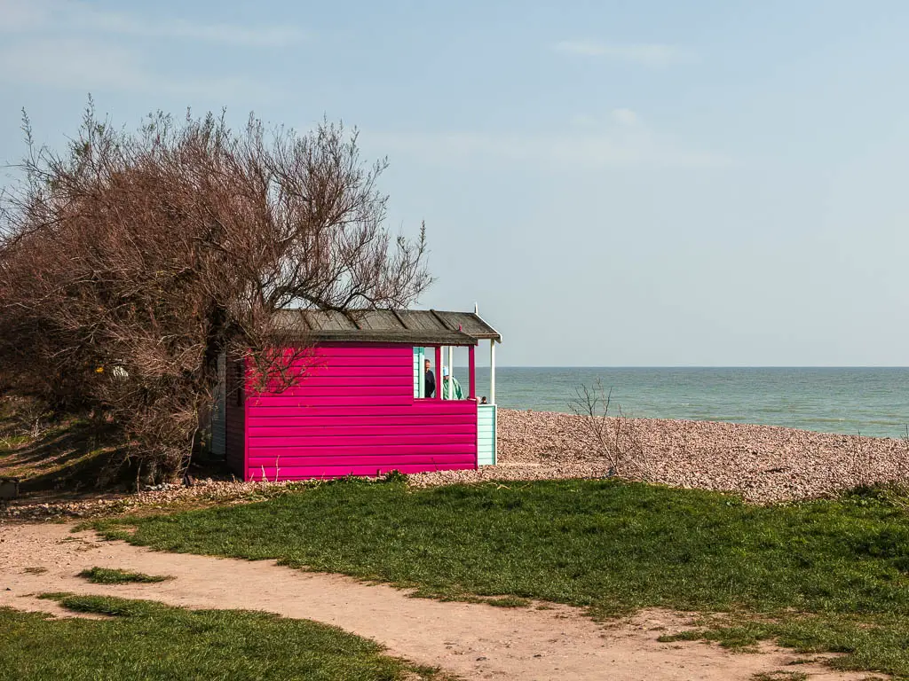 A fusia pink beach hut on the shingle beach on the walk from Littlehampton to Worthing. 