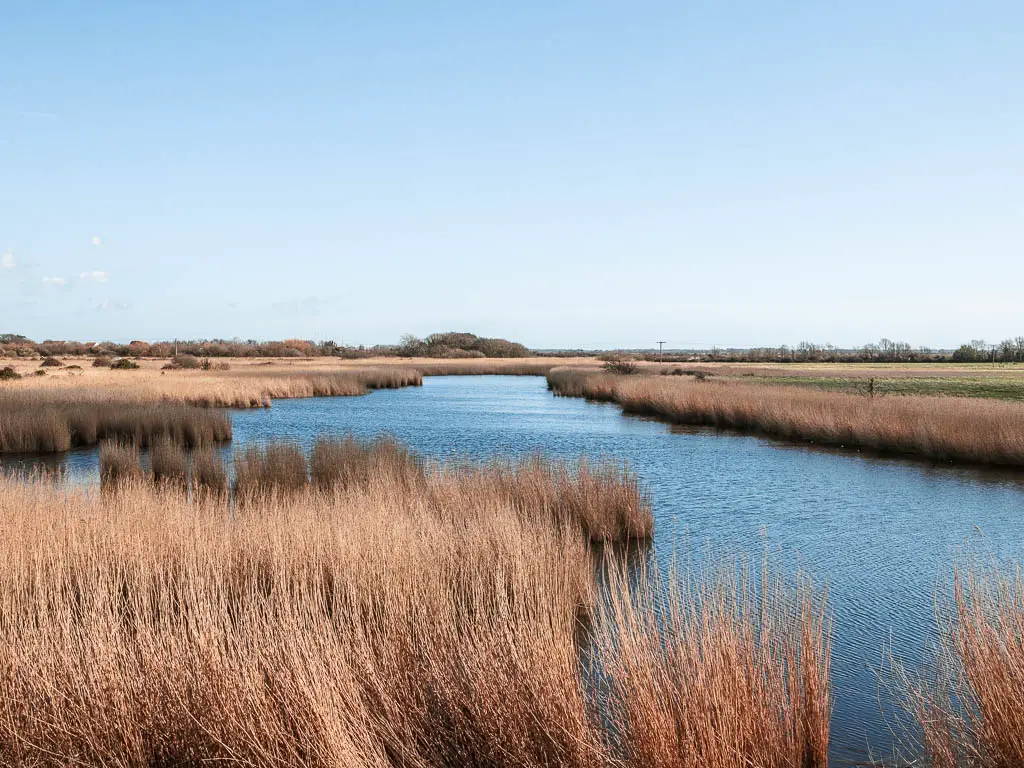 The blue lake surrounded by water grass in the Nature Reserve on Thorney Island.