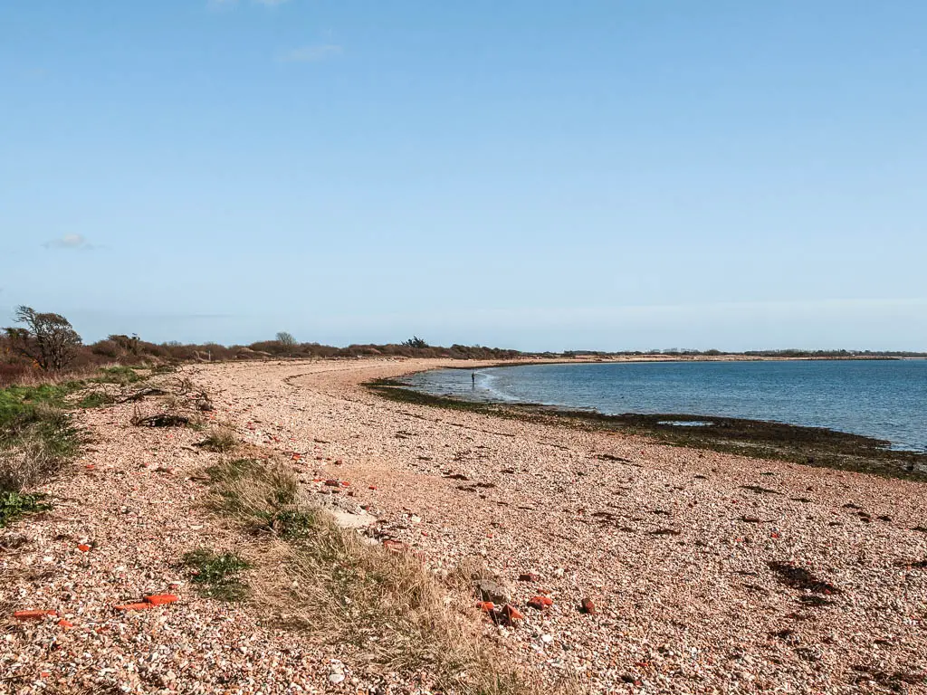 A shingle beach with the blue sea on the right on the walk around Thorney Island.