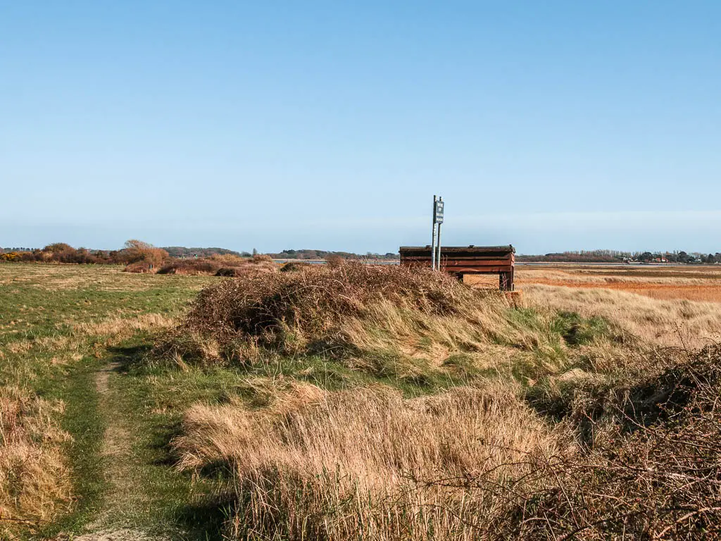 A grass trail surrounded by overgrown grass and a hide slightly hidden up ahead. 