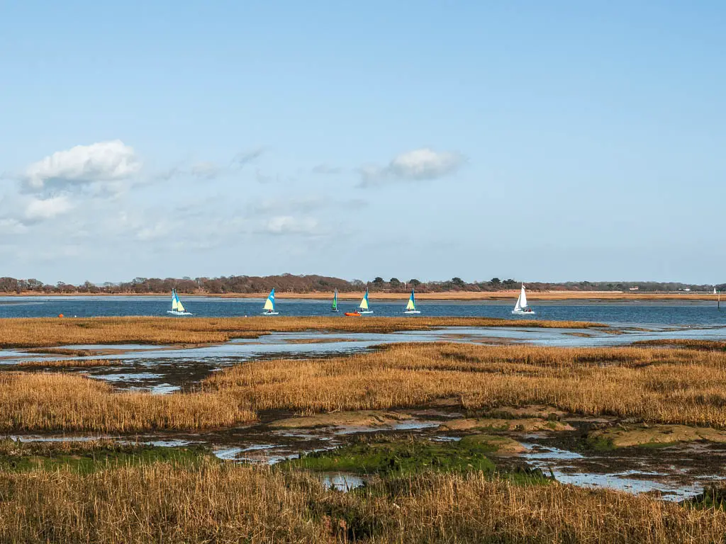 Looking across the marshland to the small sailboats on the sea on the circular Thorney Island walk.