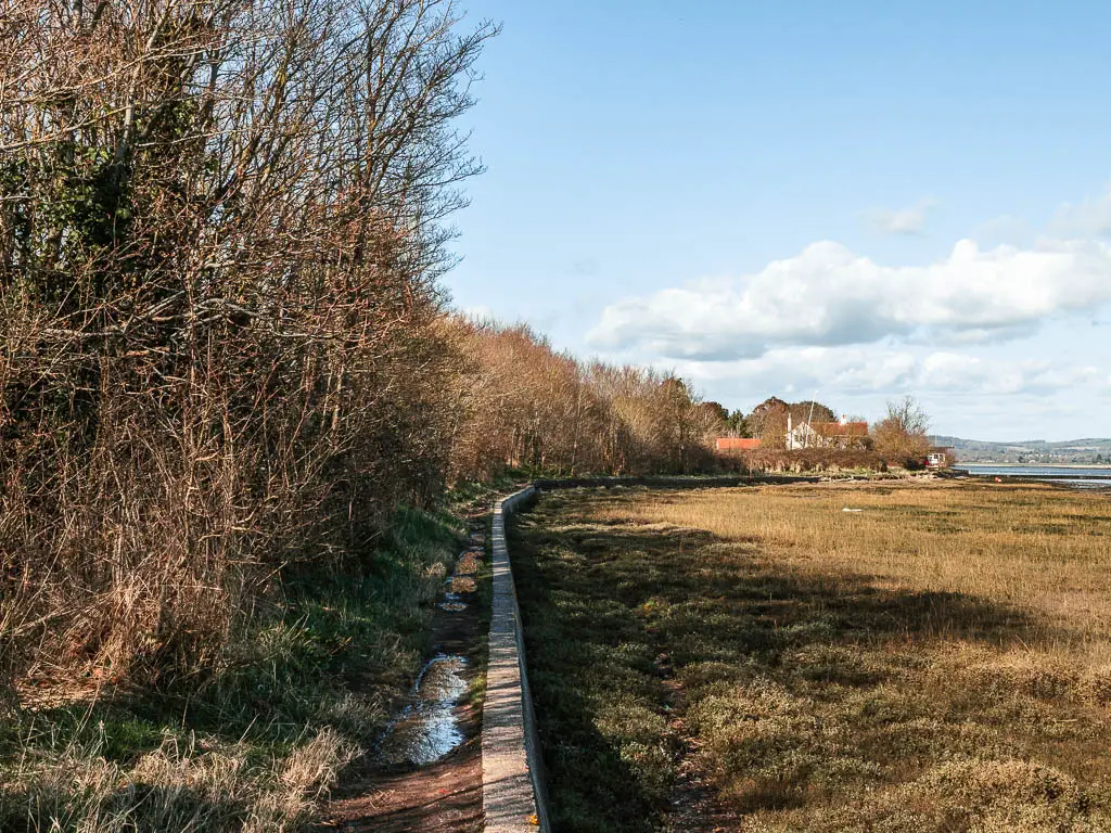 A narrow path on the left of the sea wall with marshland to the right.