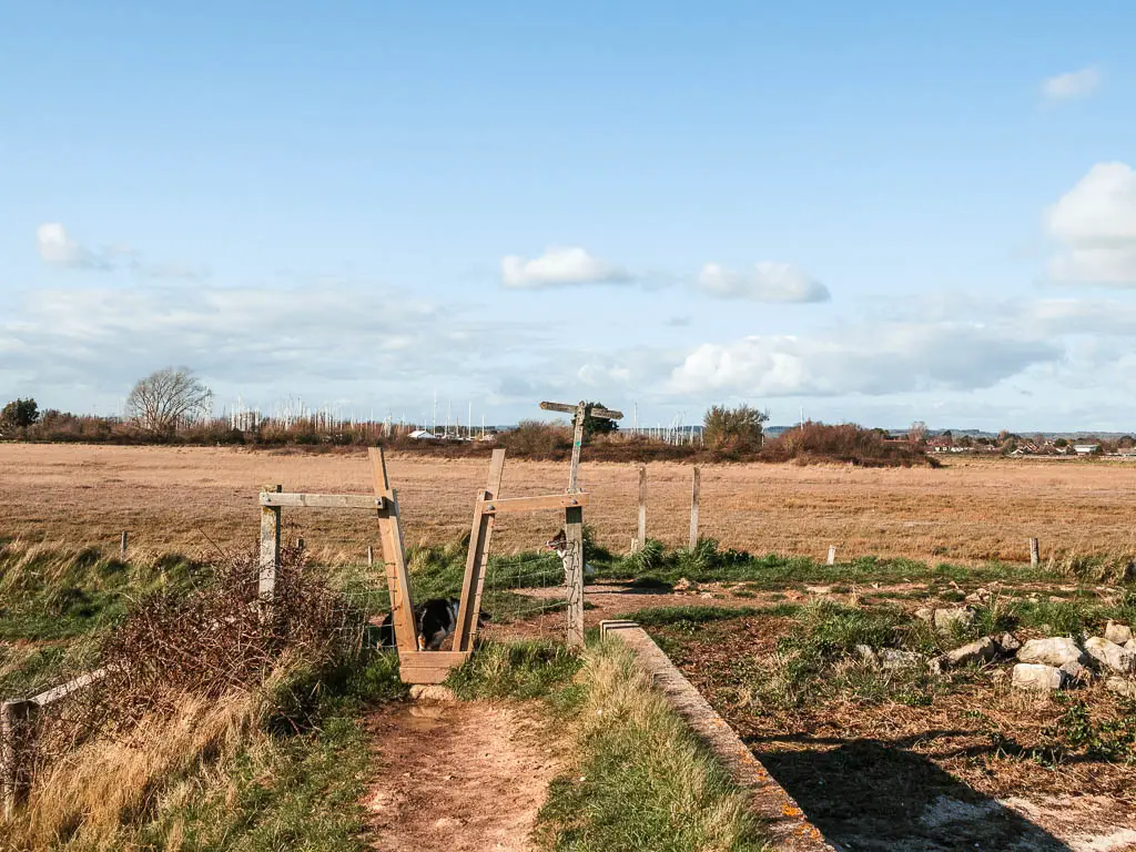 The trail leading to a wooden V style.