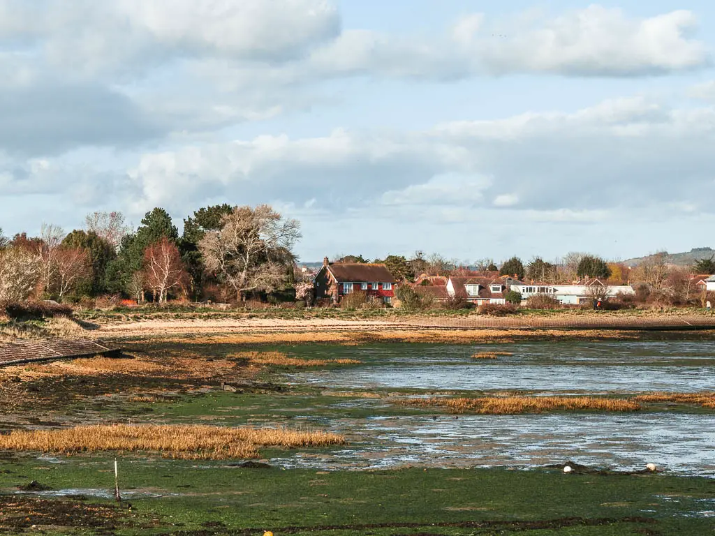 Looking across the green sea bed at low tide on the circular Thorney Island walk. There is a red houses on the other side surrounded by trees.