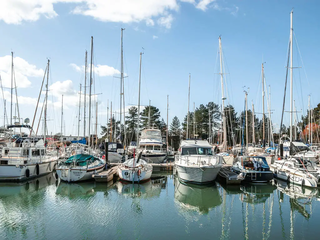 Lots of sail boats and yachts moored in the water on a blue sky sunny day.