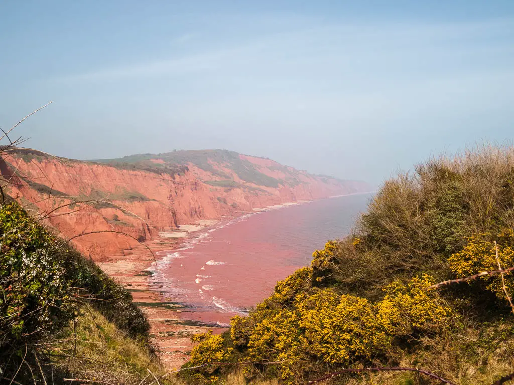 Looking through a gap in the bushes to the Red Sea and cliffs ahead in East Devon.