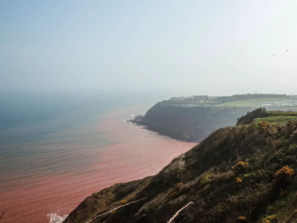 Looking down the cliffside to the red coloured sea below.