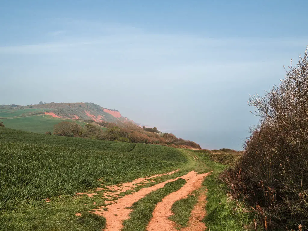 A trail on the right running through the grass.