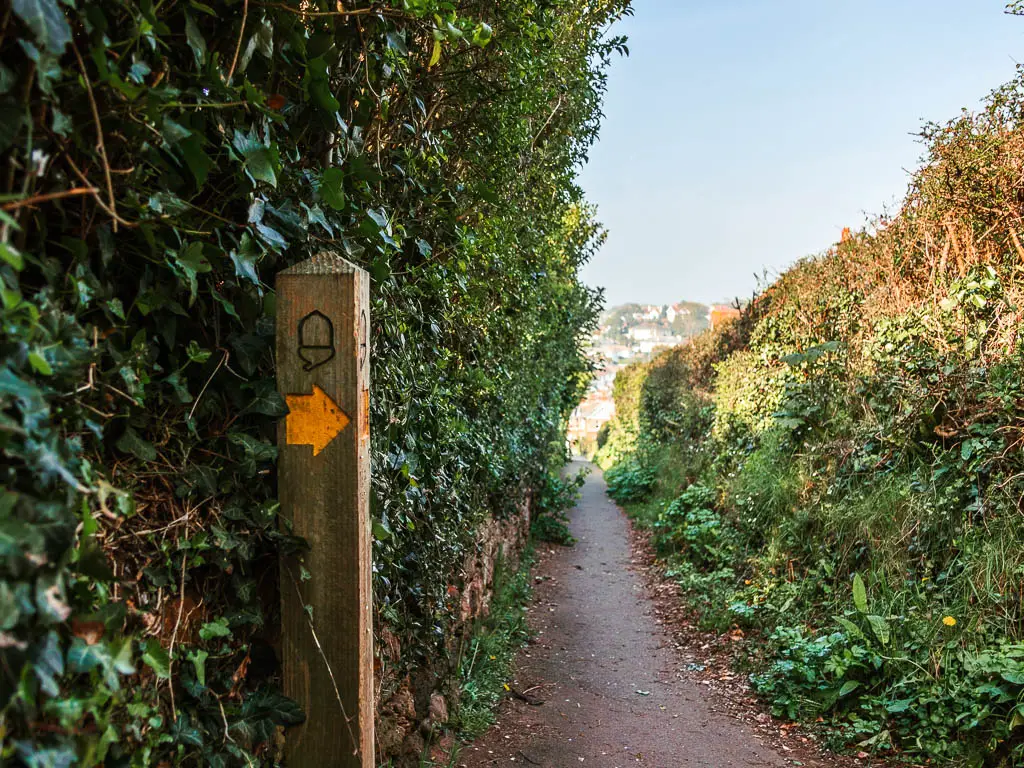 A wooden trail signpost with a yellow arrow on the right side of the path, next to a hedge. The arrow is pointing right.