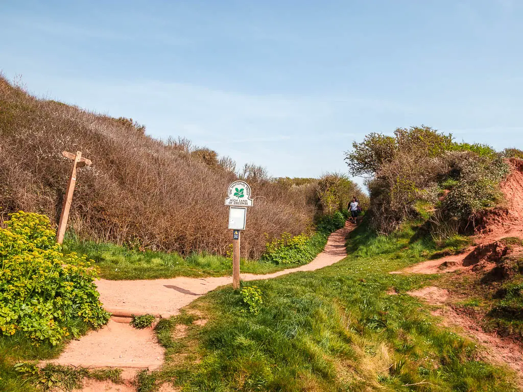 A trail going from left to right and through the bushes. There is a national trust signpost next to the trail. 