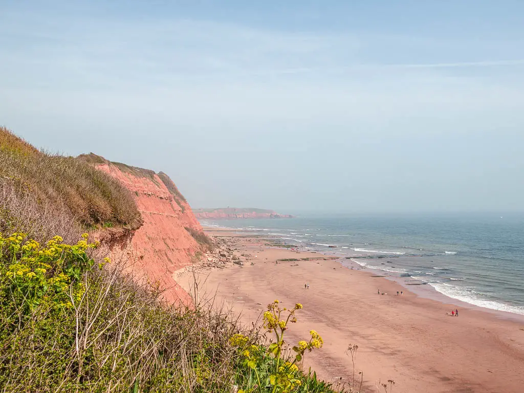 the red coloured cliff face on the left leading to the red sand beach below on the coastal walk from Exmouth to Budleigh Salterton.