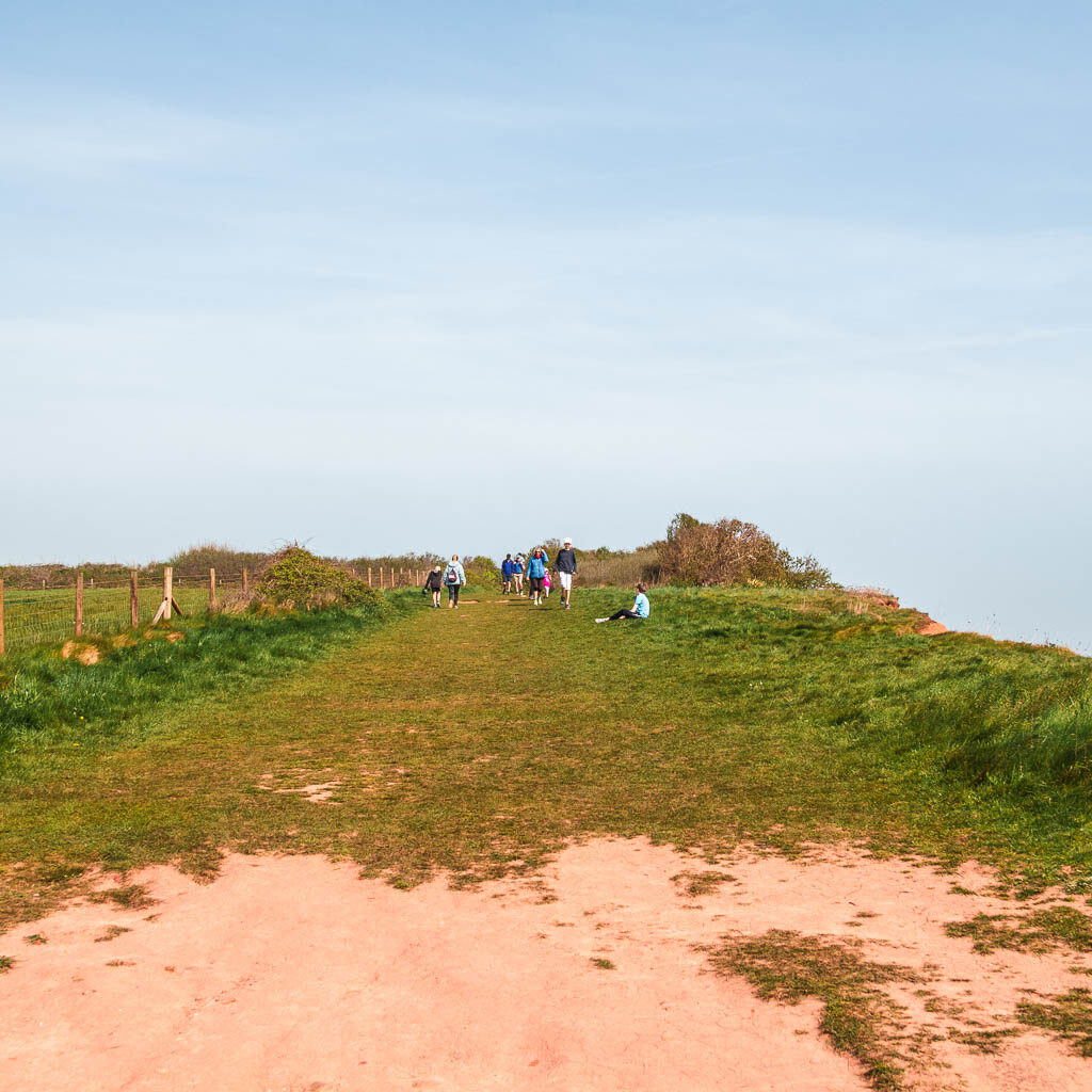 A wide grass trail with a few people on it further ahead. 