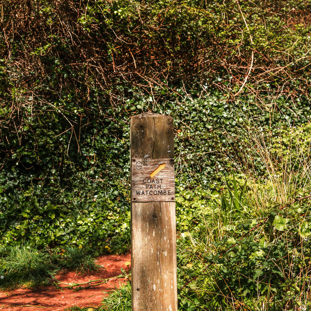 A wooden coast path sign on the coastal walk from Babbacombe to Shaldon and Teignmouth.