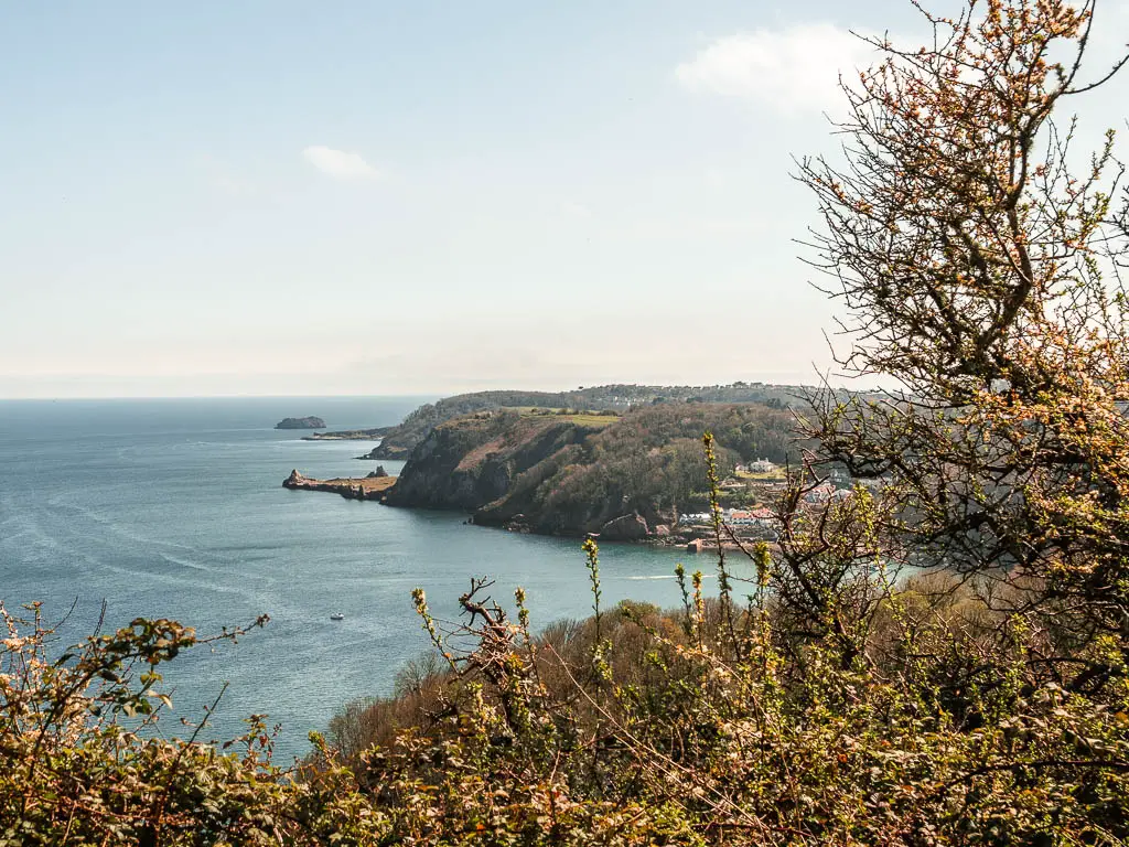 Looking across the bush and tree tops to the sea and peninsular ahead on the coastal walk between Babbacombe, Shaldon and Teignmouth.