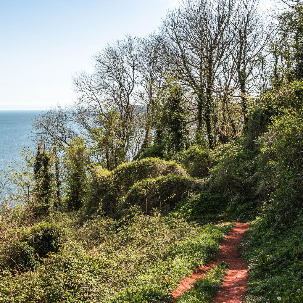 A red dirt trial on the right with tall bushes to the right of it and bushes ahead with the blue sea behind.