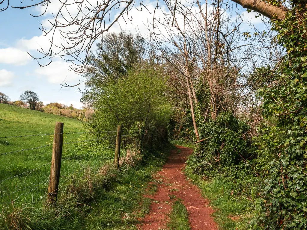 A dirt trail with a barbed wire fence and hill field to the left, and bushes and trees to the right.