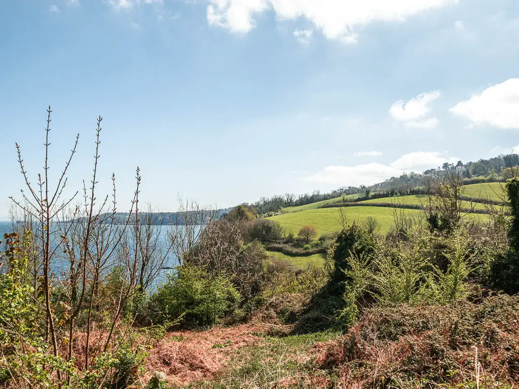 Looking across the grass covered clifftop, with the blue sea on the left.